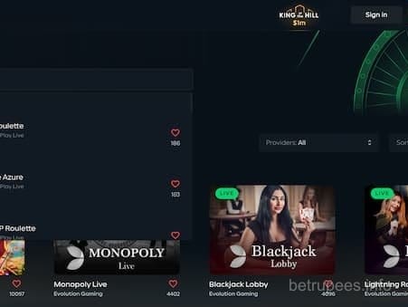 Betrupees Live Casino Roulette Interface
