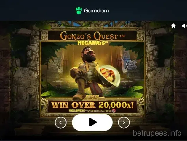 Premium Slot Machine Experience